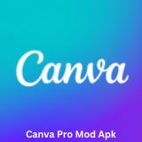 Canva Pro Mod Apk